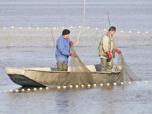 Fisherman