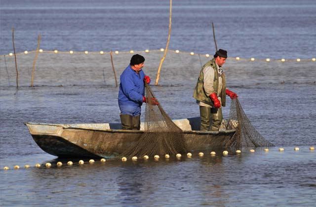 Farmer fishing at beach